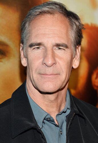 Scott Bakula | NCIS: New Orleans Wiki | Fandom