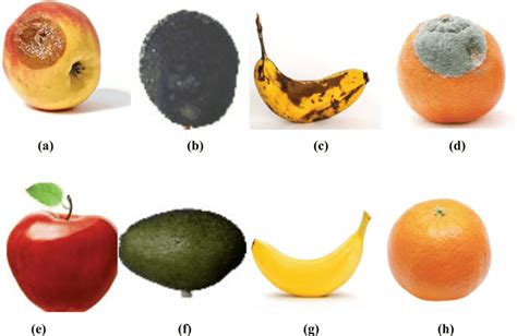 Sample RGB database images a rotten apple, b rotten avocado, c rotten... | Download Scientific ...