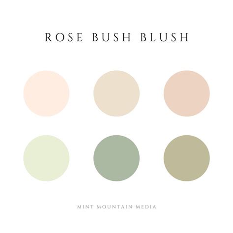 Rose Bush Blush Color Palette | Mint Mountain Media | Blush color ...