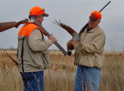 Johannsen Farms Pheasant Hunters | Hunt Fish Aberdeen