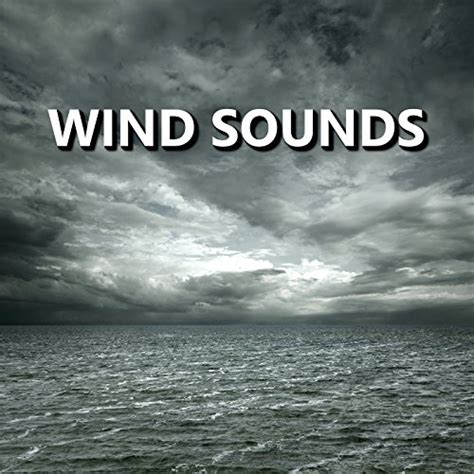 Distinctive Storm Wind Sounds by Wind Sounds on Amazon Music - Amazon.com