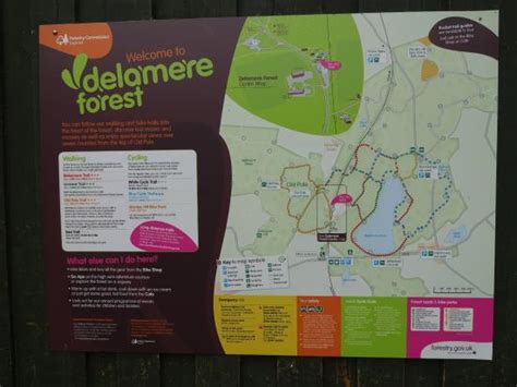 Delamere Forest Map | Gadgets 2018