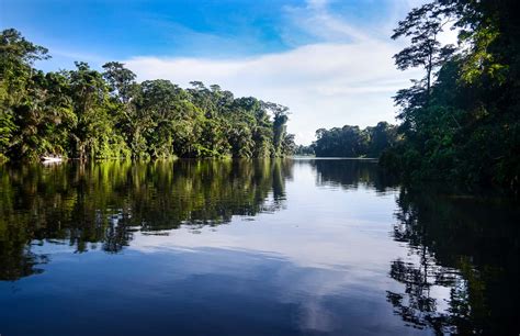 Tortuguero business owners form new tourism chamber