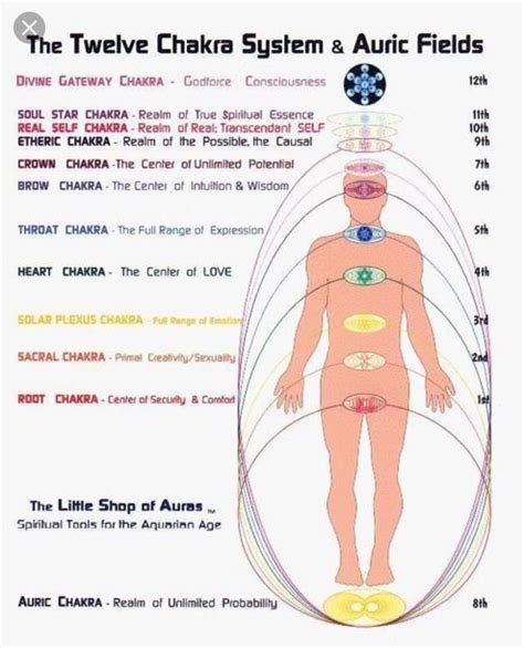 12 chakra system and auric fields | Chakra system, Energy healing, Chakra