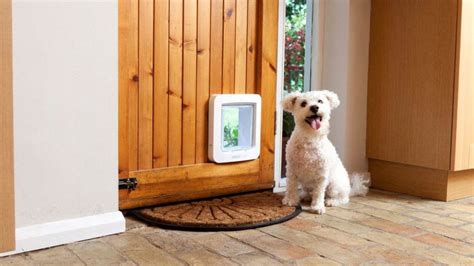 Install Smart Dog Door in the Screen Door