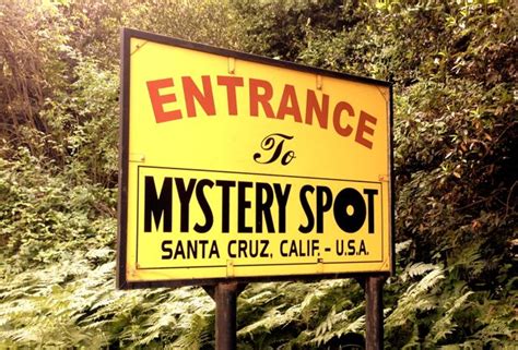 Searching For Mystery? You'll Find it at The Mystery Spot