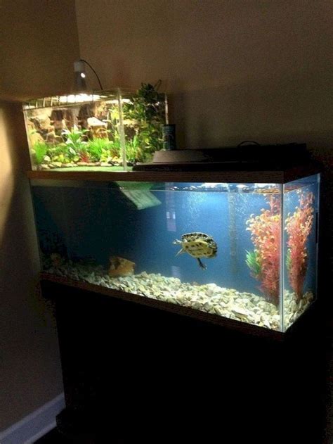 53 Aquarium Design Ideas for a Beautiful Home