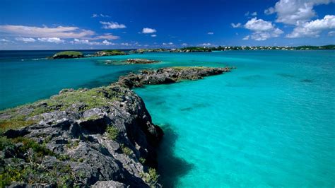 Sargasso Sea around Bermuda is now at its hottest, most acidic and oxygen-starved than at any ...