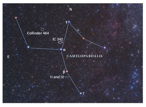 Exploring Camelopardalis