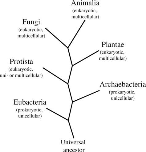 1.2.1: 1.2A Types of Microorganisms - Biology LibreTexts