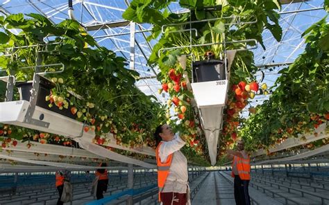 Inside Sir James Dyson's £110 million farm of the future