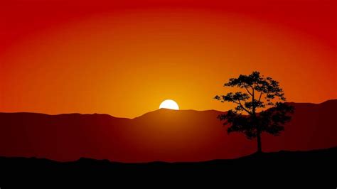 Premium Vector | Sunset background with hill and tree silhouette