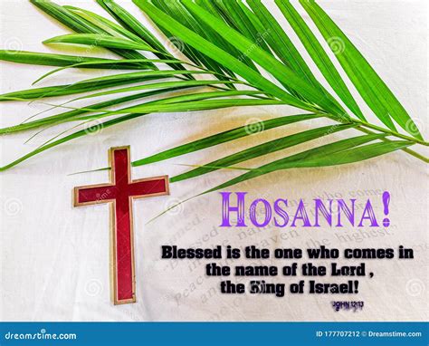 Hosanna in the Highest.praise Be To God Stock Photo - Image of israel ...