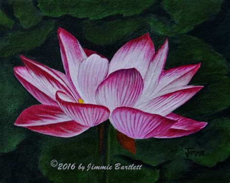 Jimmie's Art: Painting of a Lotus Blossom