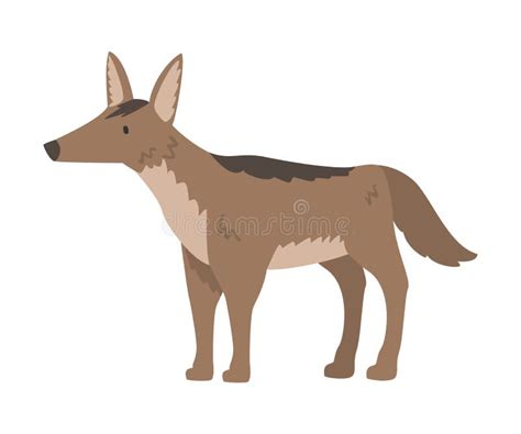 Jackal Stock Illustrations – 1,373 Jackal Stock Illustrations, Vectors & Clipart - Dreamstime