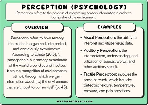 Perception (Psychology): 10 Examples and Definition (2025)