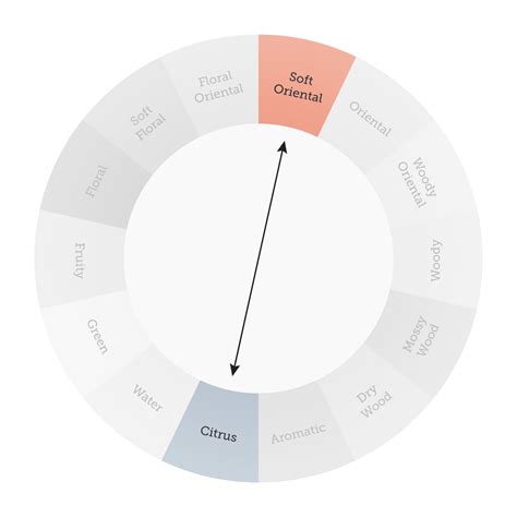 Your Fragrance Wheel and Scent Families Guide | FragranceX.com