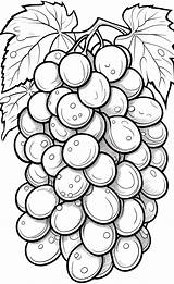 Simple Grapes Coloring Pages For Kids – EĞİTİM KÜLTÜR sketch template