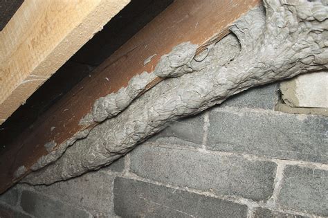 Colossal wasps' nest found in attic is the stuff of nightmares | Mashable