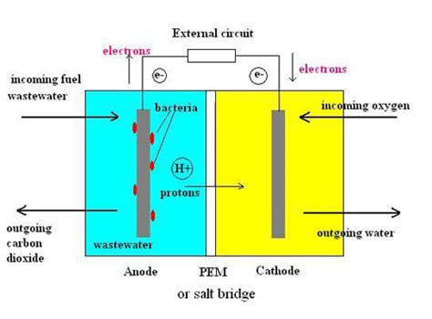 Microbial Fuel Cells: Making Electricity from Sewage - Sustaining Our World