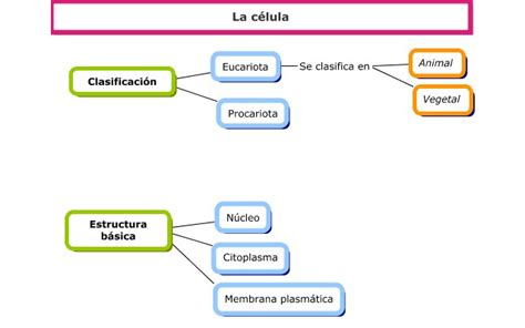 Cuadro Sinoptico De La Celula