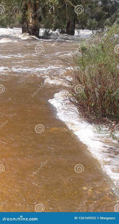 River overflow stock image. Image of river, flood, overflows - 126169253