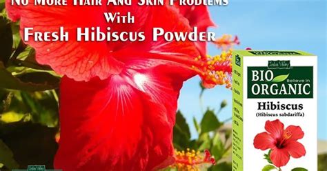 Know The Benefits Of Hibiscus Powder For Skin : r/beauty