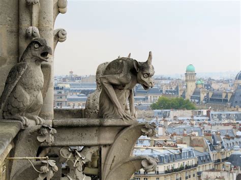 Pin on Gargoyles | Notre dame gargoyles, Gargoyles, Gargoyles art