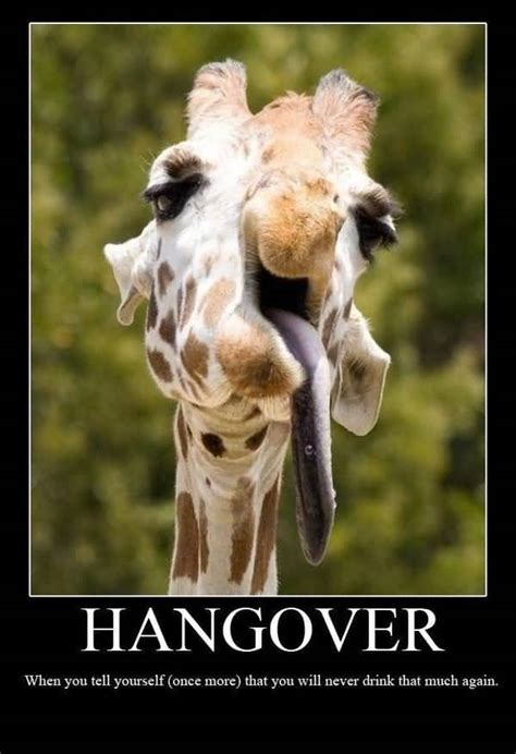 50 Top Hangover Meme That Make You So Much Laugh | QuotesBae