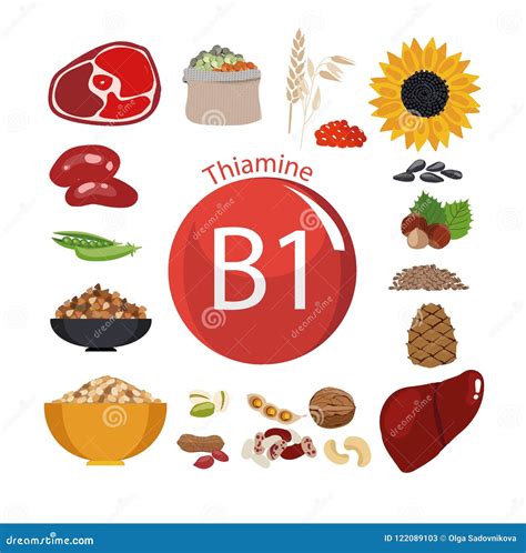 Vitamin B1 Thiamine. a Set of Organic Organic Foods with a High Content ...