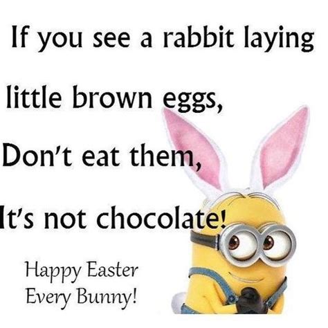 Funny Easter Bunny Text Messages ~ Easter Bunny Quotes Happy Funny Tips ...