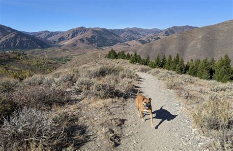 Two days in Ketchum, ID–Big Trip #3 – AirstreamDog