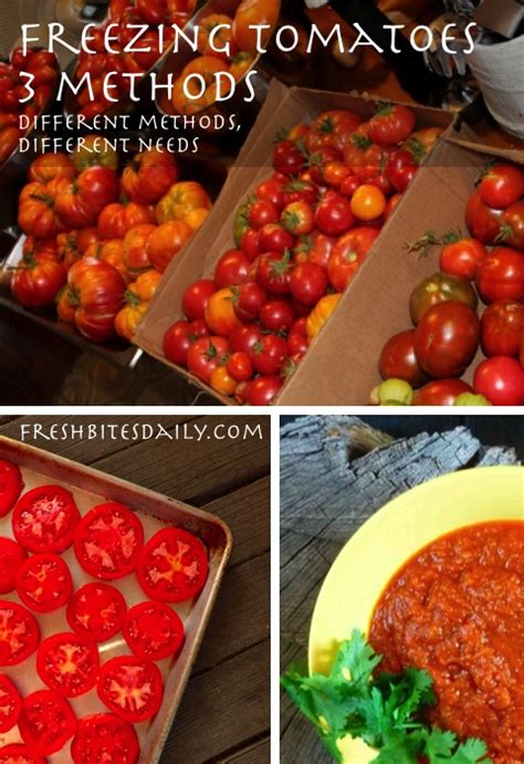 Freezing Tomatoes: 3 Ways To Preserve The Tomato Harvest – Fresh Bites Daily