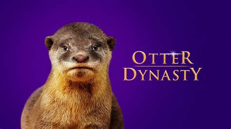 How to Watch Otter Dynasty Online from Anywhere - TechNadu