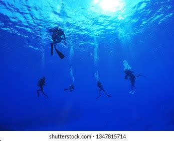 473 Guam diving Images, Stock Photos & Vectors | Shutterstock