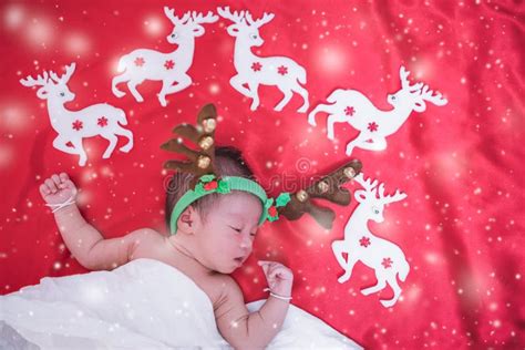 Newborn Baby Girl Sleeping with Deer Stock Photo - Image of napping, child: 146629980