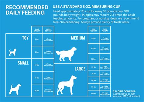 Bernedoodle Prices in 2024: Purchase Cost, Vet Bills, and More! - A-Z ...