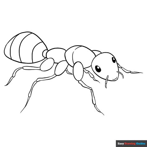 Free Printable Insect Coloring Pages for Kids