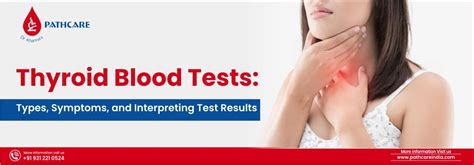 Thyroid Blood Tests: Types, Symptoms, and Interpreting Test Results ...