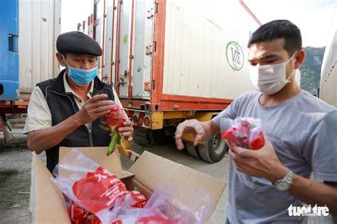 Thousands of fruit-carrying trucks stranded at Vietnam-China border gates over sluggish produce ...