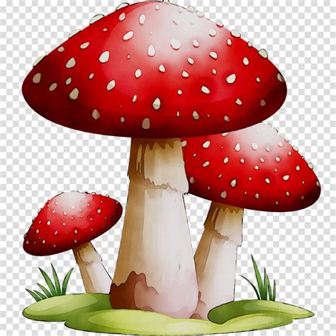 clipart of mushroom 10 free Cliparts | Download images on Clipground 2024