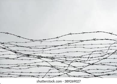 59 284 War Fence Images, Stock Photos, 3D objects, & Vectors | Shutterstock
