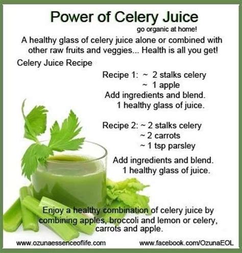 Health Benefits Of Celery Juice Recipes - health benefits