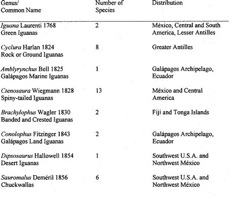 Table 1 from Molecular Systematics & Evolution of the CTENOSAURA HEMILOPHA Complex (SQUAMATA ...