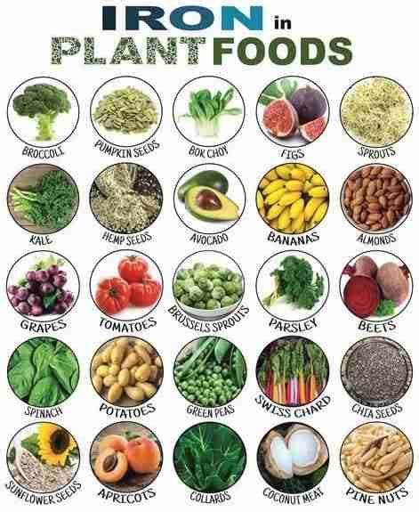 Q&A: Iron on a Plant-Based Diet!