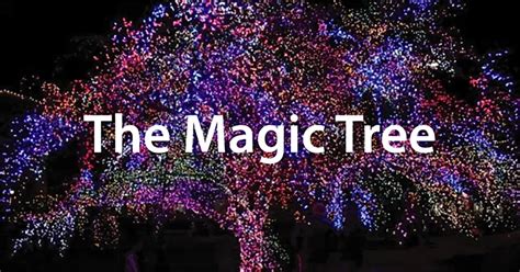 Magic Tree | Village of Cherry Hill, Columbia MO