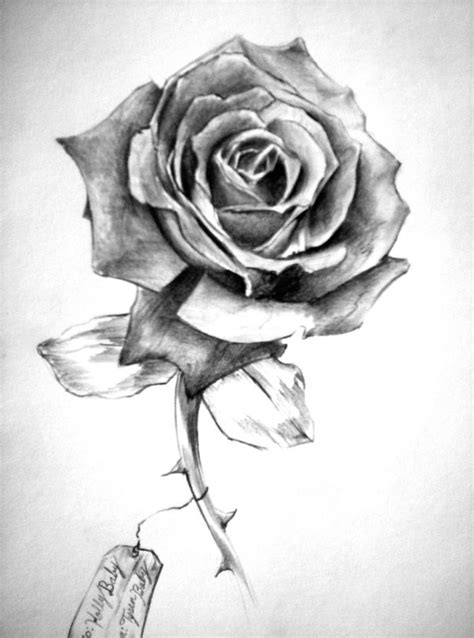 Tat ideas | White rose tattoos, Black and white rose tattoo, Rose ...