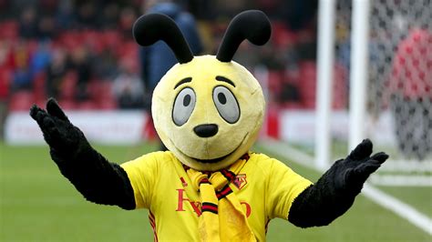 Roy Hodgson warns Watford mascot Harry the Hornet not to dive | Sport ...