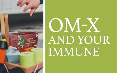 The Role of Probiotics in Your Immune System | OM-X NUTRITION