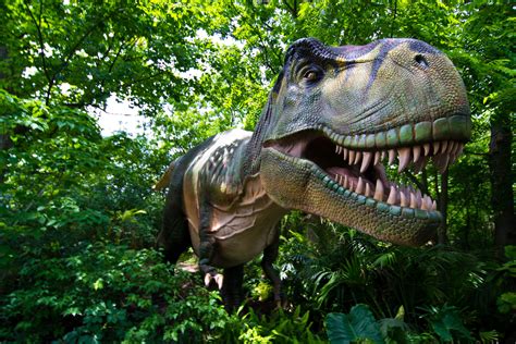 Tyrannosaurus Rex | Dinosaur exhibition, Jurassic park, Tyrannosaurus rex